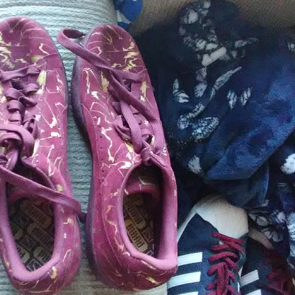 Pumas